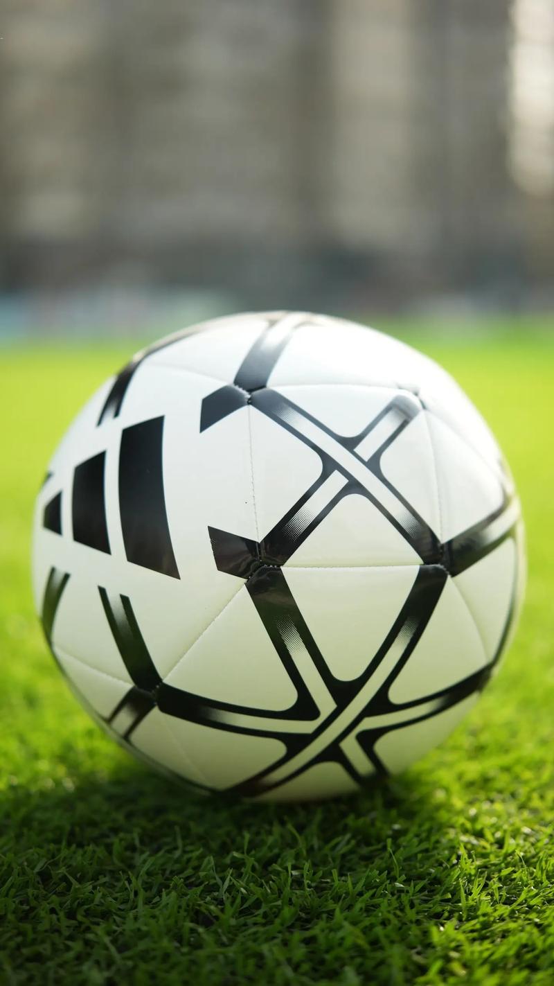 足彩比分查询结果平台界面展示